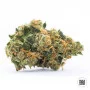 Cannabis seeds PERFECT POWER PLANT from Bulk Seed Bank at Smartshop-smartshop.ua®