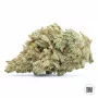 Семена конопли WHITE WIDOW от Bulk Seed Bank в Smartshop-smartshop.ua®