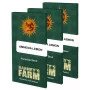 Cannabis seeds AMNESIA LEMON from Barney's Farm at Smartshop-smartshop.ua®