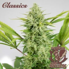 AUTO SKUNK® classics