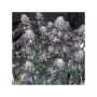 Насіння конопель BUBBA ISLAND KUSH®