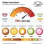 Насіння конопель BUBBA ISLAND KUSH®