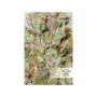 Сорт насіння канабісу CBD AUTO WHITE WIDOW®