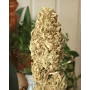 Сорт насіння канабісу Cookies Haze